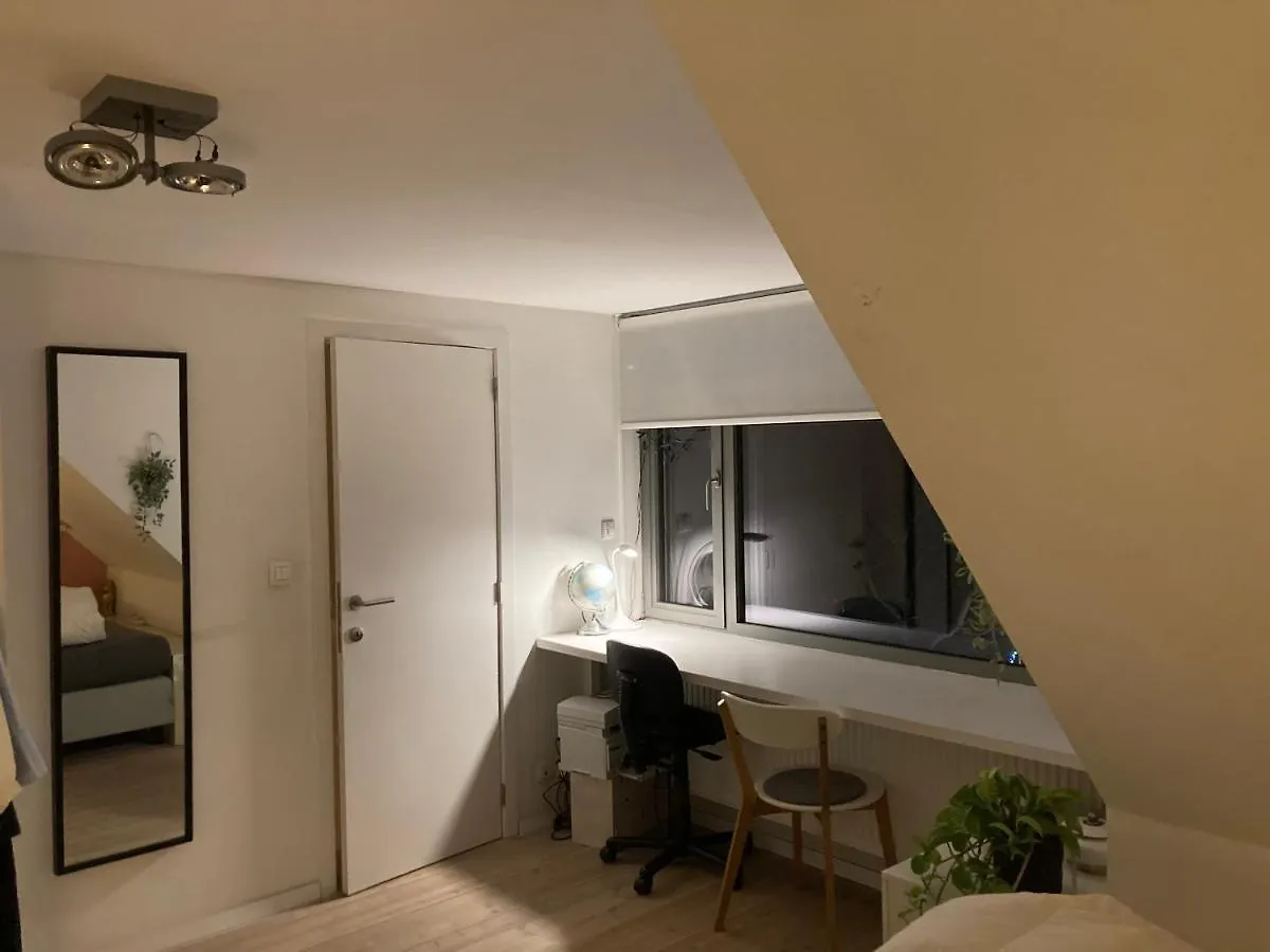 Sunny Family House In Bruges! Villa